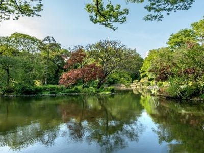 有栖川宮記念公園｜ザ・パークハウス南麻布