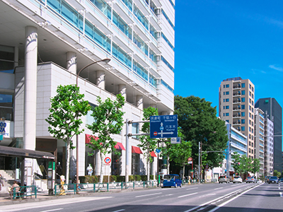 外苑西通り｜ザ・パークハウス南麻布