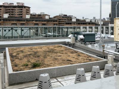 屋上緑化｜ザ・パークハウス南麻布